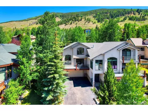 113 Ensign Dr #A, Dillon, CO 80435 photo 38