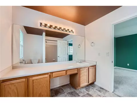 22162 E Alamo Ln, Centennial, CO 80015 photo 23