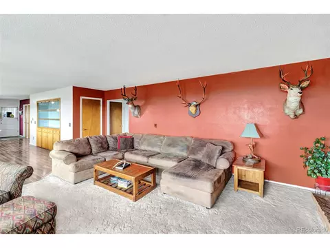 22755 Uintah Rd, Cedaredge, CO 81413 photo 5