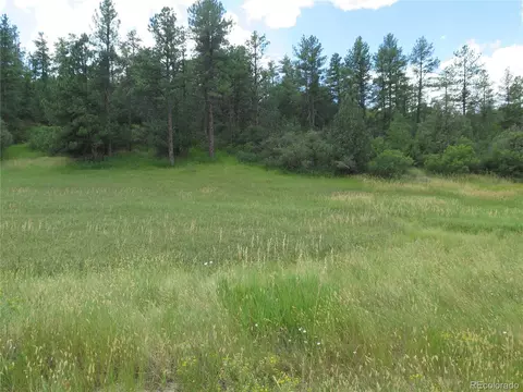4988 Comanche Dr, Larkspur, CO 80118