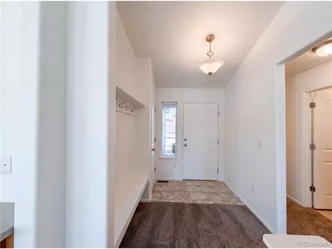 Other - 948 Scotch Pine Dr, Windsor, CO 80550 photo 1 of 5