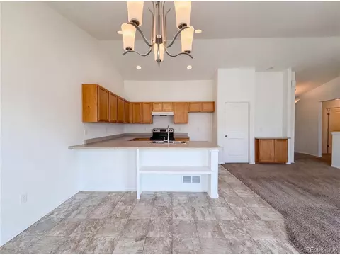 Other - 948 Scotch Pine Dr, Windsor, CO 80550 photo 2 of 5
