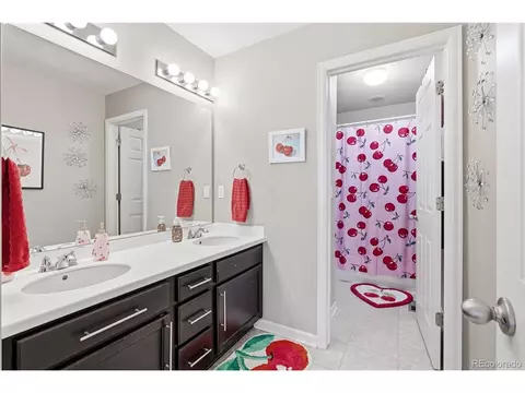 3075 E 141st Pl, Thornton, CO 80602 photo 32