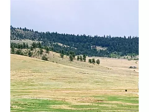42 Vitorio Trl, Hartsel, CO 80449