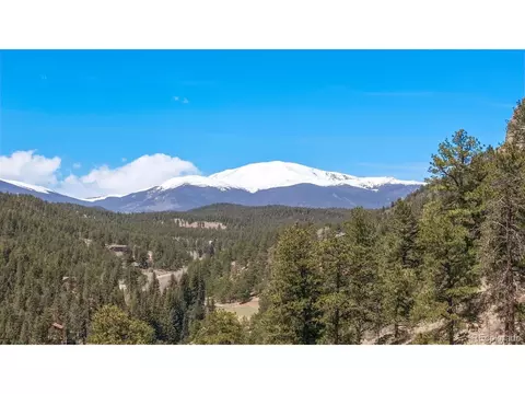 217 N Hill Dr, Bailey, CO 80421 photo 44