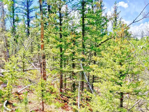 314 Tepee Trl, Como, CO 80432 photo 6