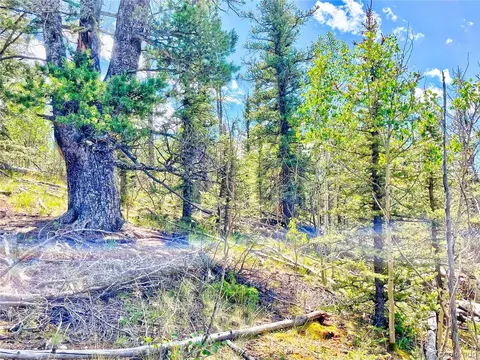 314 Tepee Trl, Como, CO 80432 photo 15