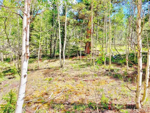 314 Tepee Trl, Como, CO 80432 photo 16