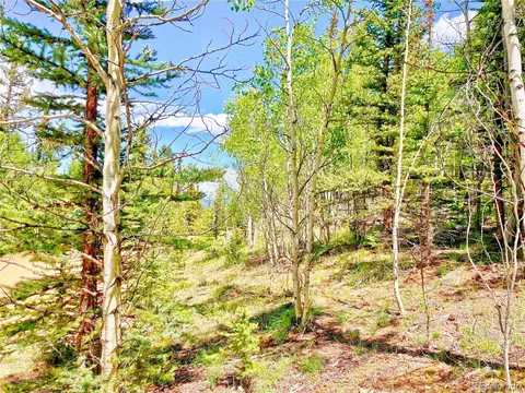 314 Tepee Trl, Como, CO 80432 photo 17
