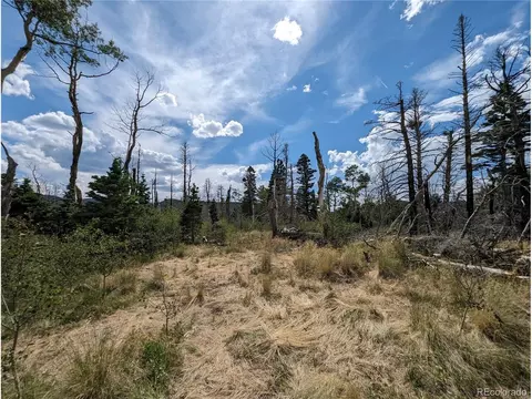 2505 Sharbaugh Ln, Fort Garland, CO 81133