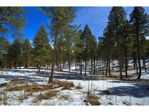 20565 Swaying Pine Dr, Morrison, CO 80465 photo 4