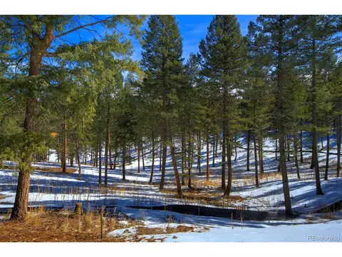 20565 Swaying Pine Dr, Morrison, CO 80465 photo 5