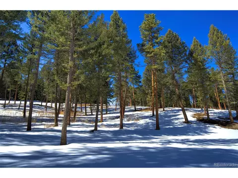 20565 Swaying Pine Dr, Morrison, CO 80465 photo 9