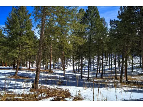 20565 Swaying Pine Dr, Morrison, CO 80465 photo 3