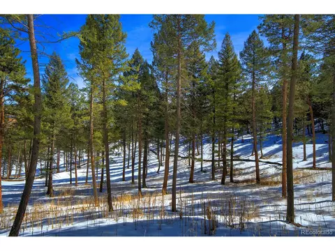 20565 Swaying Pine Dr, Morrison, CO 80465 photo 7