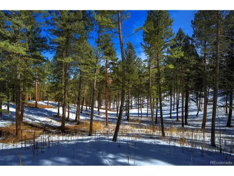 20565 Swaying Pine Dr, Morrison, CO 80465 photo 6