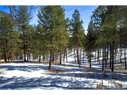 20565 Swaying Pine Dr, Morrison, CO 80465 photo 2