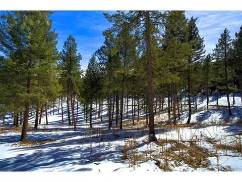 20565 Swaying Pine Dr, Morrison, CO 80465 photo 1