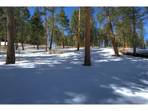 20565 Swaying Pine Dr, Morrison, CO 80465 photo 10