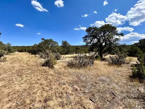 lot919 Los Vaqueros Cir, Walsenburg, CO 81089