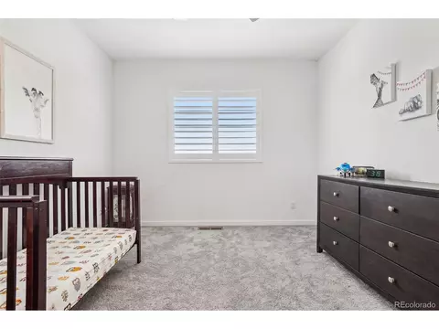 13960 Box Turtle Loop, Parker, CO 80134 photo 35