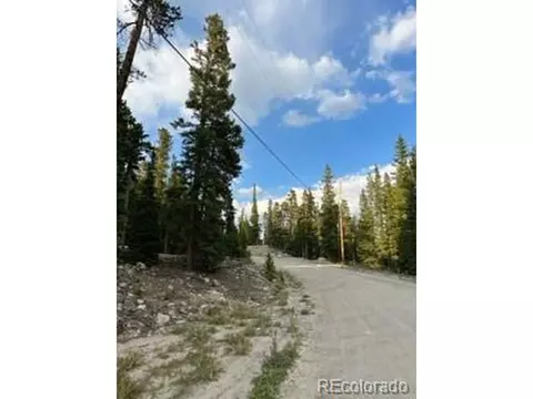 991 Bobcat Ln, Fairplay, CO 80440