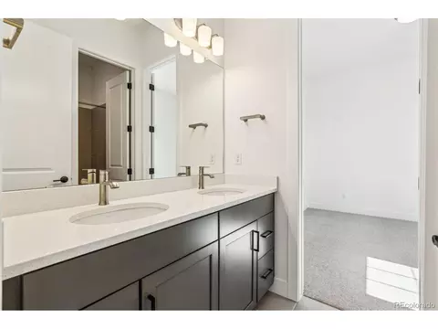 3884 Freestone Pt, Castle Rock, CO 80108 photo 22