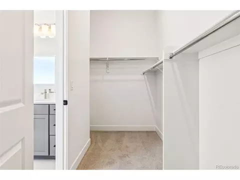 3884 Freestone Pt, Castle Rock, CO 80108 photo 20