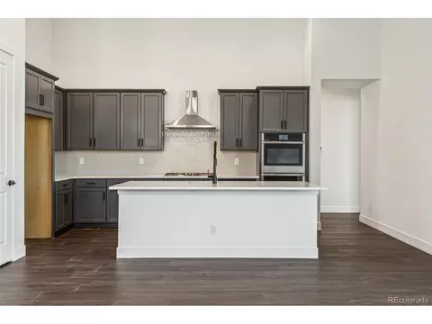3884 Freestone Pt, Castle Rock, CO 80108 photo 14