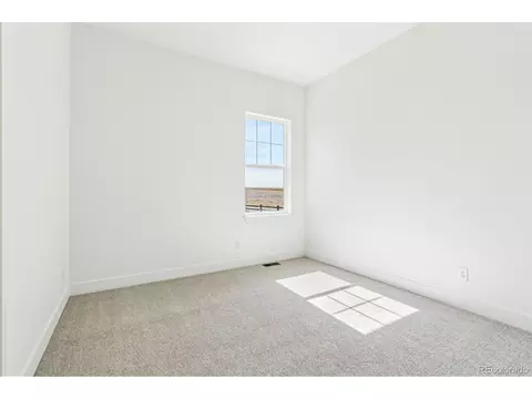 3884 Freestone Pt, Castle Rock, CO 80108 photo 21