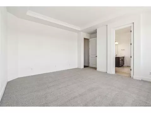 3884 Freestone Pt, Castle Rock, CO 80108 photo 18