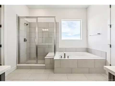 3884 Freestone Pt, Castle Rock, CO 80108 photo 4