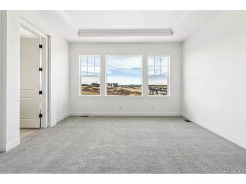3884 Freestone Pt, Castle Rock, CO 80108 photo 16