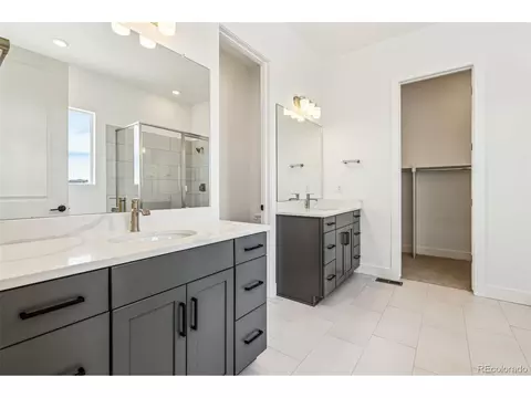 3884 Freestone Pt, Castle Rock, CO 80108 photo 19