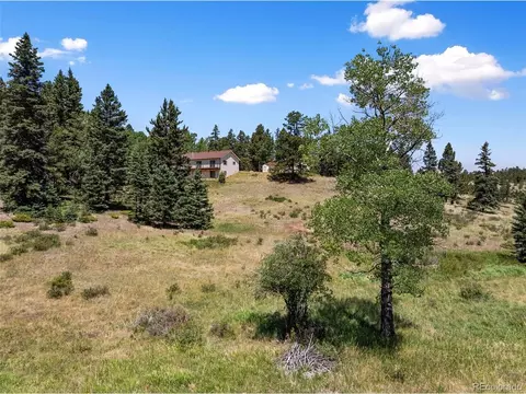 Other - 1054 Cantiberry Rd, Divide, CO 80814 photo 18 of 18