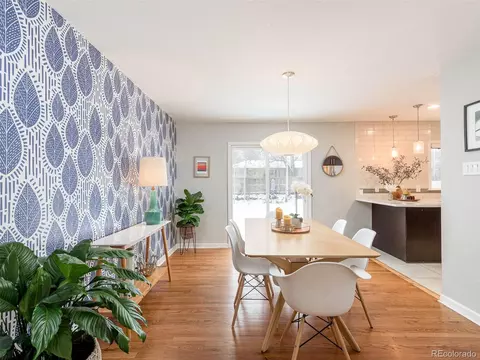 3632 S Grape St, Denver, CO 80237 photo 8