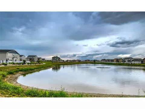 1024 Urial Dr, Severance, CO 80550 photo 27