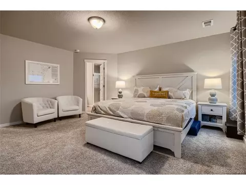 1024 Urial Dr, Severance, CO 80550 photo 12
