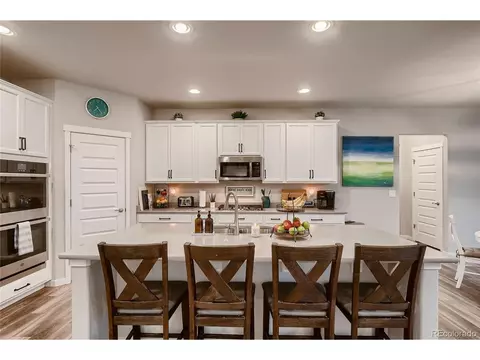 1024 Urial Dr, Severance, CO 80550 photo 8