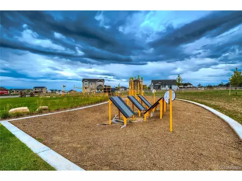 1024 Urial Dr, Severance, CO 80550 photo 31