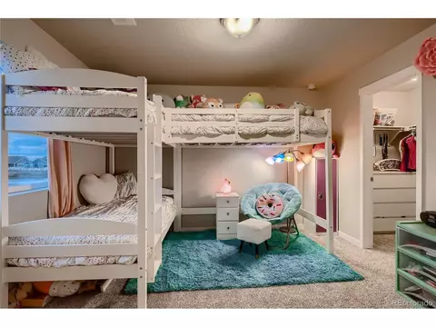 1024 Urial Dr, Severance, CO 80550 photo 16