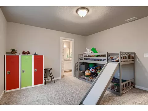 1024 Urial Dr, Severance, CO 80550 photo 14