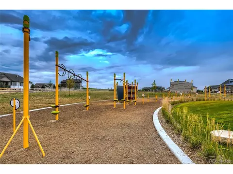 1024 Urial Dr, Severance, CO 80550 photo 29