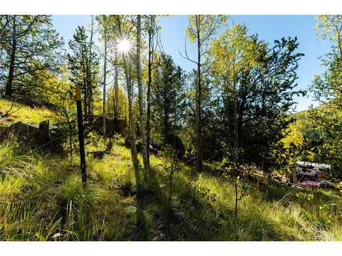 County Road 8, Divide, CO 80814 photo 11
