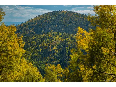 County Road 8, Divide, CO 80814 photo 30