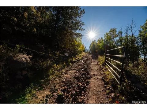 County Road 8, Divide, CO 80814 photo 3