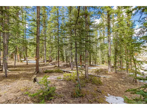 402 Silvermoon Hts, Divide, CO 80814
