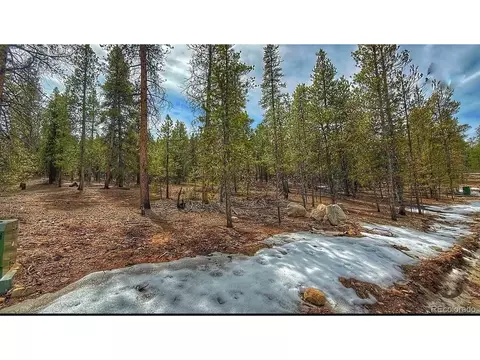 48 Mount Massive Rd, Twin Lakes, CO 81251