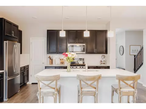 10288 E 57th Ave, Denver, CO 80238 photo 4