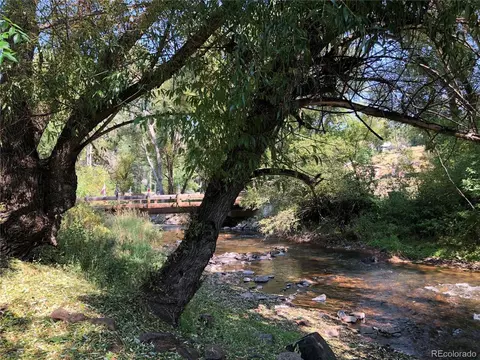 21524 Shady Ln, Idledale, CO 80453